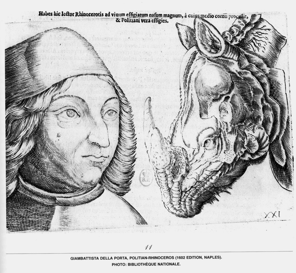 Aberraciones_Giambattista Della Porta- Político y Rinoceronte