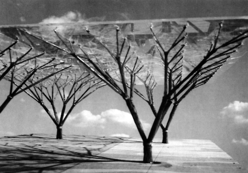 frei otto_Tree Structures 1960
