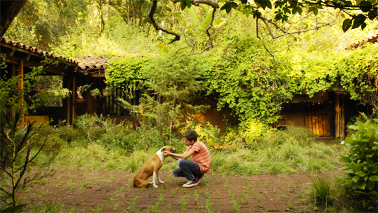 Casa en Valle del Bravo