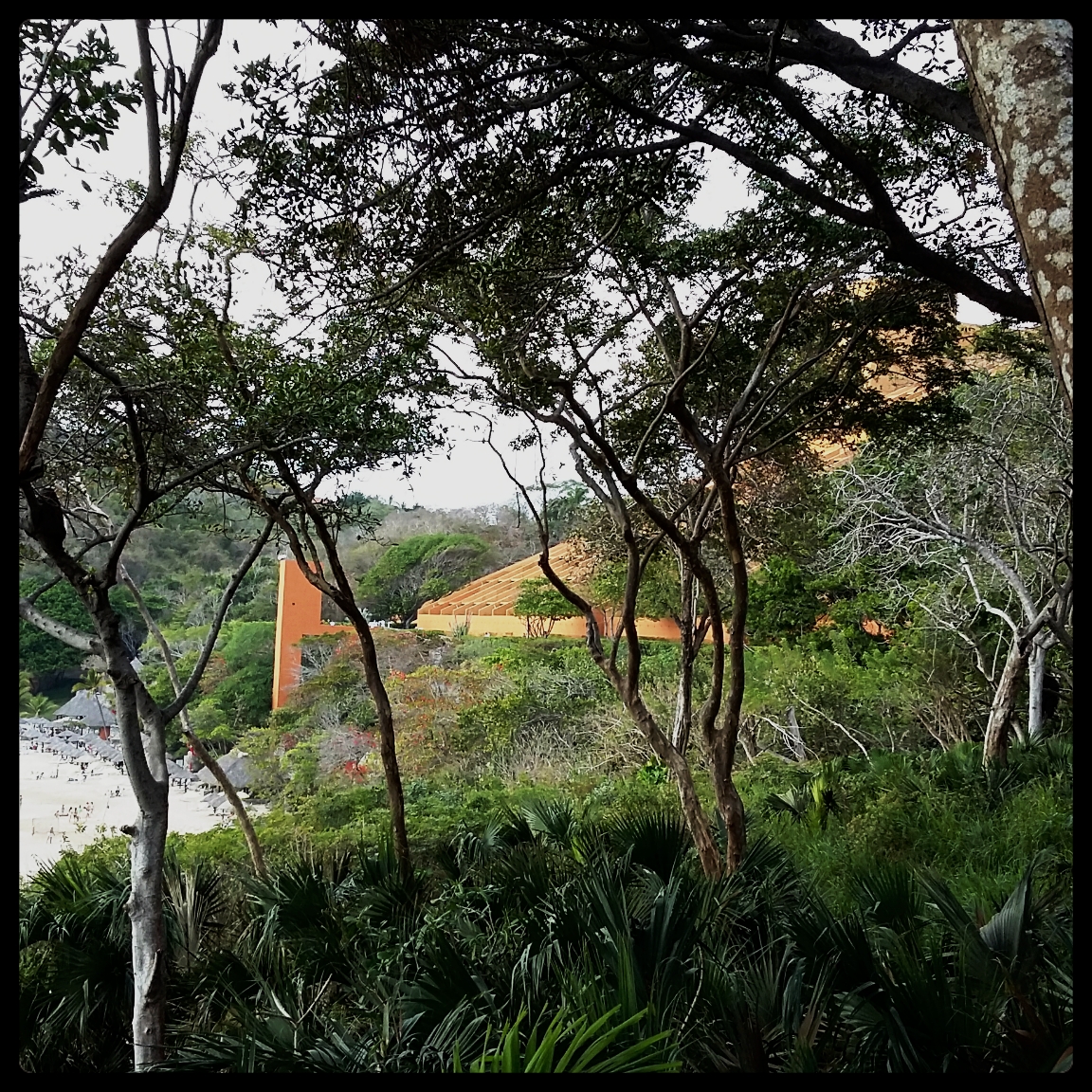 CYMERA_20160321_180628