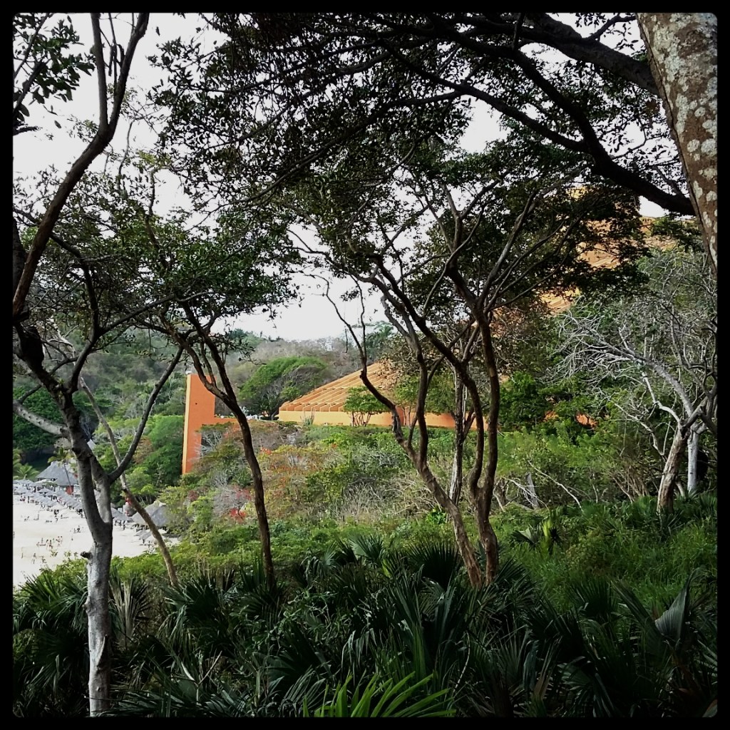 CYMERA_20160321_180628