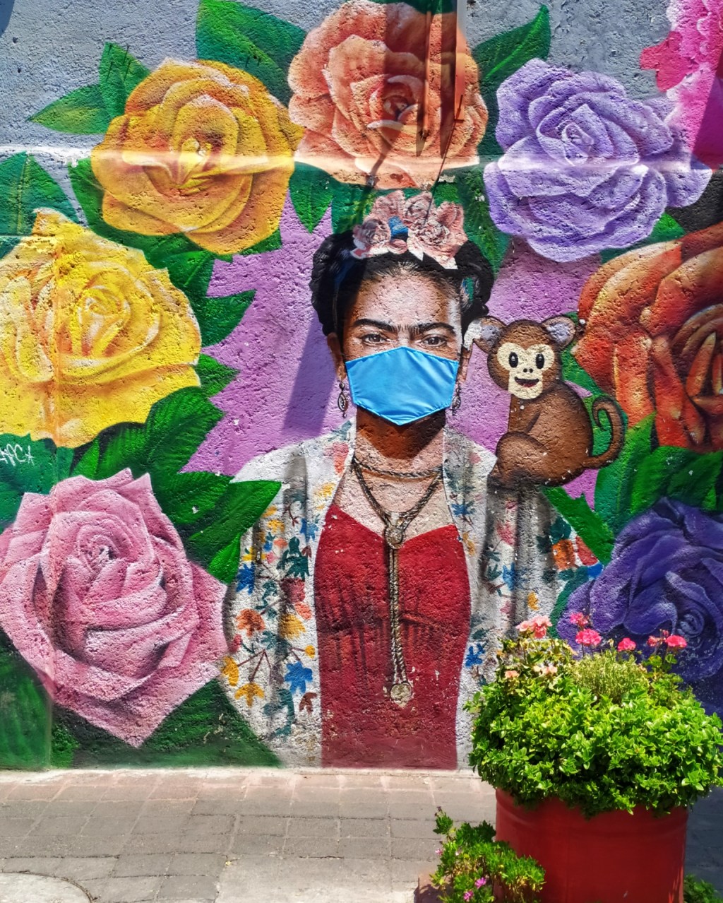 CYMERA_20200329_132806